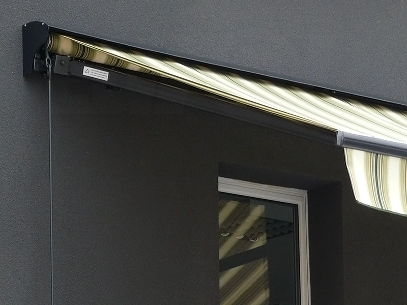 Markiza Jamaica na wymiar online