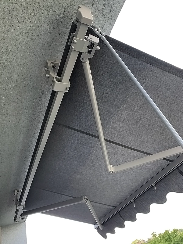 markiza tarasowa jamaica na wymiar