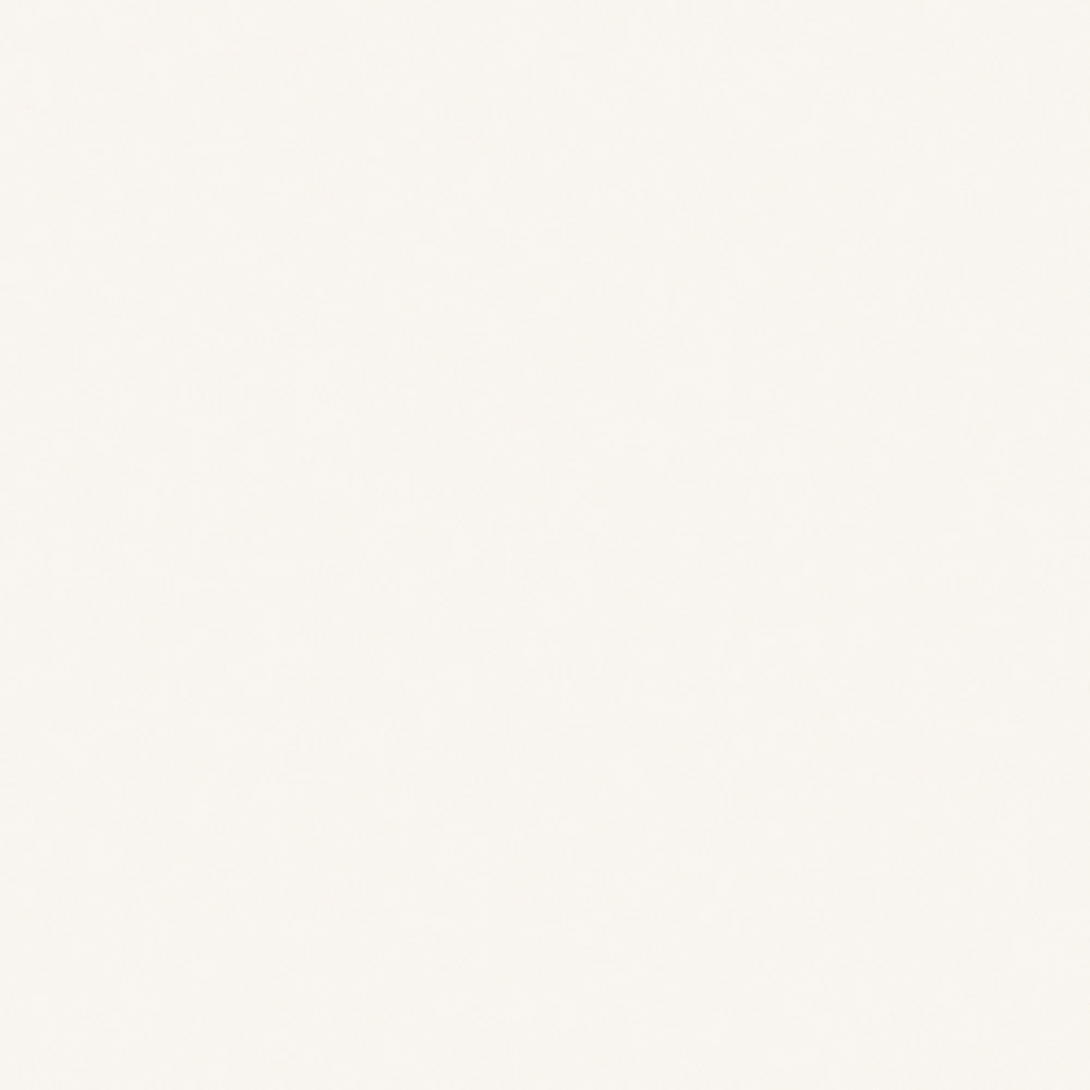 Roleta screen zip kolor RAL9010 MAT