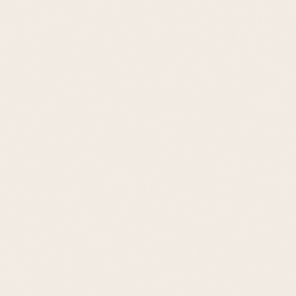 Roleta screen zip kolor RAL9001 MAT